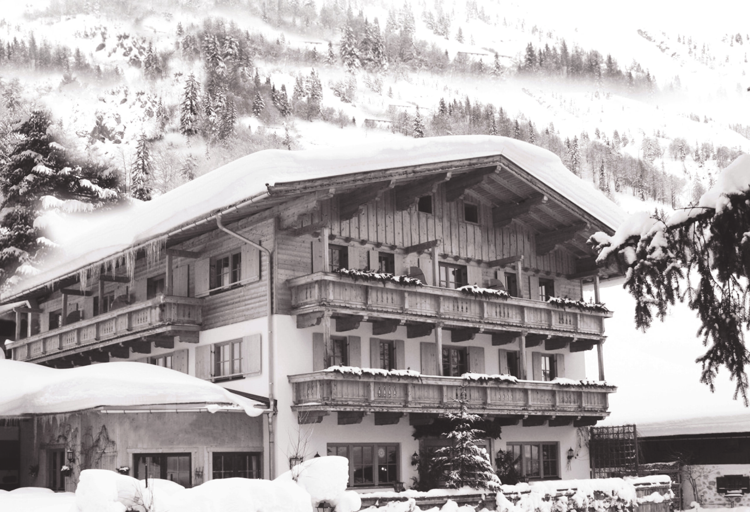 Элитное постельное бельё German Grass